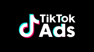 TikTok Ads service icon